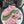 GG Sandals with Double G Light Pink TPU 818205