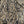 CC Métiers d'Art Animal Pattern Jacket Brown Black White Cotton Silk
