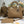 CD 2026 Toujours Bag Embossed Calfskin 288175