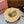 Miu Straw Hat 213518