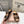 Miumiu 26ss Platform Sandals Cowhide 713102