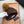 BEANIE HAT IN CHOCOLATE BROWN WOOL 352364