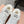 Miu 25 Small Bow Sneaker Gray White Suede Wool 541920