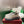 Gucci Rhyton Sneakers Dank Beige and Camel Supreme Canvas 507552