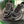 Chanel Low-Top Sneakers 30mm Black Calfskin Leather and Mesh 507543