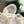 CD Tech Sneakers White Light Pale Taupe Cowhide Mesh Suede 562673
