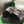 CC 26s Slippers Black Grey Fur 999410