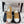 CC Cruise 25/26 Moccasins Brown White Suede