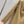 Gucci 2025 Dress Camel and Ebony Polyester Fiber