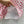 LV 25 Classic Flower Shorts Pink White Poliester