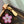 LV x TM Papillon 27cm Sakura Brown Cherry Blossom Monogram Canvas
