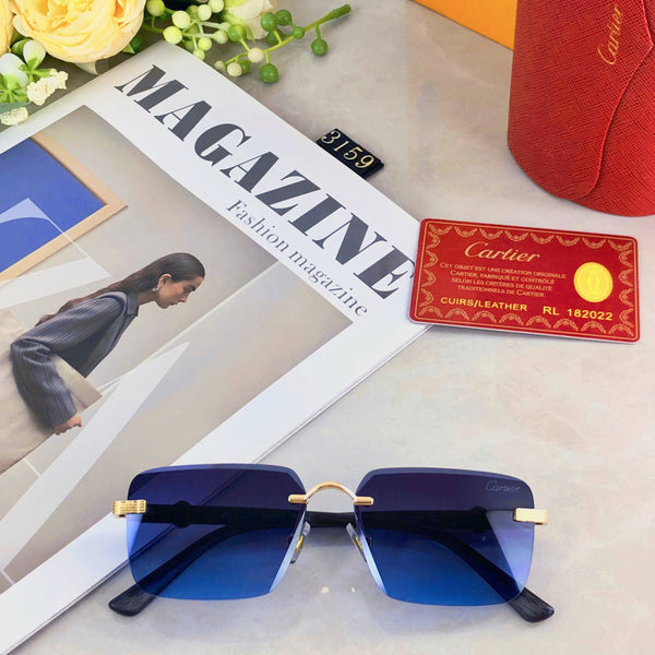PREMIÈRE RIMLESS RECTANGULAR FRAME SUNGLASSES 575701 IN METAL