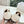 The Row 2025 Mary Jane Loafer White Cowhide 549359