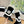 CC 2025 Snow Boot Black White Suede Wool 548930
