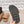 CC 26s Sandals Buckle Brown Quilted Leather 613273
