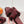 HM 25 Oran Burgundy Fur Leather 738411