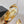 CC 26s Round-Toe Square-Heeled Sandals 7.5cm Gold Leather