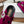 Viv 25 Slippers Pink Imported Flannel 350443