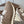 Brunello Runners With Shiny Details Light Taupe Suede 624482