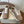 Brunello Runners With Shiny Tab Taupe Suede 624492