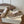 Brunello Runners With Shiny Tab Taupe Suede 624492