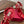 VT Studdy Pumps 95mm Red Leather 624355