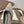 Brunello Monili-chain Mules Taupe Suede 624509