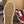Prada 26ss Casual Shoes Red White Canvas 624429