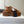 Prada Strappy Sandals 5.5cm Brown Leather 728557