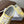 CL Alan Sneakers Light Yellow Canvas Rubber 790668