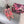DC Colorful Crystals Pink Lace & Lurex 343138
