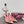 DC Colorful Crystals Pink Lace & Lurex 343138