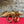 Ferragamo Gancini-Heel Padded Sandals 9cm Gold Cowhide 694848