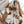 CC 25 Scarf 220cm White Brown Lambswool 968414