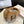 CC Coco Earmuffs Shearing 510747