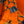 HM 25s Radiant Scarf 200cm Orange Cashmere Silk 962393