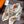HM Starry Night Chorus Double-Sided Scarf 140cm White Silk Cashmere 143718