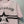 CD SS26 Signature and Star Short-Sleeved Sweater Light Pink Wool 350916