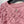 CC SS26 Feather-Trimmed Chiffon Top Rosette Pink Chiffon 350964