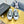 CC 26s Platform Sneakers Black Canvas 832618
