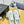 CC 26s Platform Sneakers Cream Canvas 832619