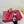 GG Vittoria Thong Sandals Red Canvas 714871