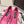 DG Pumps Crystals 6.5cm Hot Pink Taormina Lace 663077