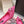 DG Pumps Crystals 6.5cm Hot Pink Taormina Lace 663077