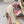 DG Pumps Crystals 6.5cm Beige Taormina Lace 663080