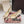 DG Pumps Crystals 6.5cm Beige Taormina Lace 663080
