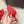 DG Pumps Crystals 6.5cm Red Taormina Lace 663081