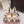 DG 26s Pumps Crystals 9cm Beige Taormina Lace 663088