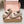 Miu 26s Velcro Sandals Light Brown Nylon Suede 632331