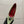 VT Panthea Pumps 105Mm Light Green Goatskin 630183